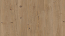 Tamm Auster rustik Charisma Plank