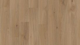 Tamm Auster lively quadra