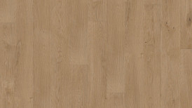 Tamm Auster accent WP 4140