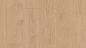 Tamm Kaschmir lively grand plank