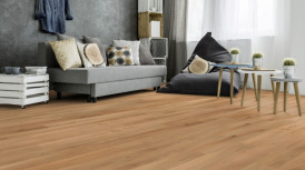 WP Quadra Oak Lively 64876