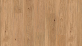 Tamm Charisma Plank lively