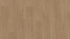 Tamm Auster select quadra