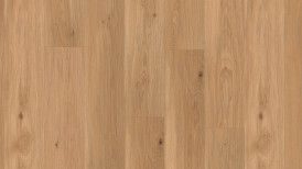 Laudparkett tamm lively colourful Charisma Plank