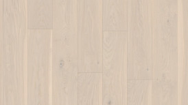 52816 Charisma Plank, Polar, lively colourful, suurelt